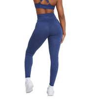 CINCH ALLURE 2.0 LEGGINGS